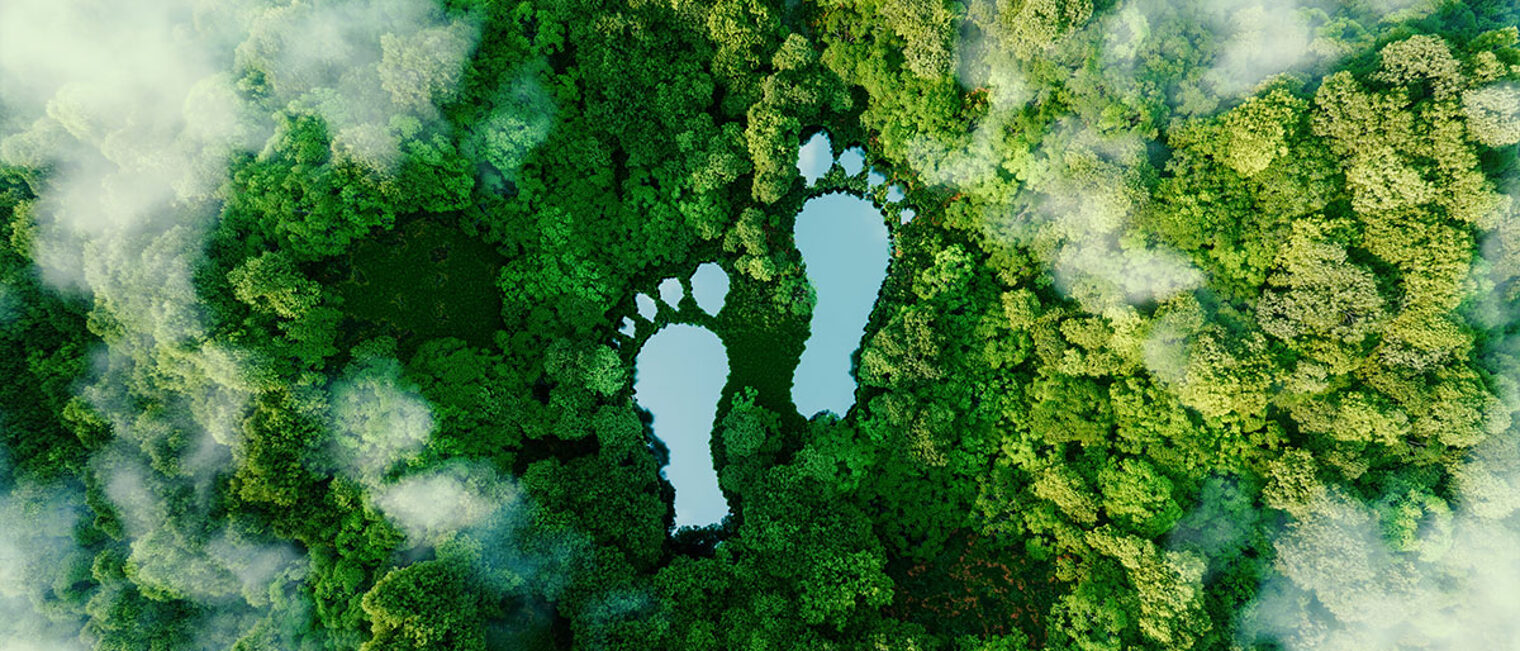 Symbolbild für Klimawandel: Vogelperspektive auf riesige menschliche Fußabdrücke in einem Urwald.