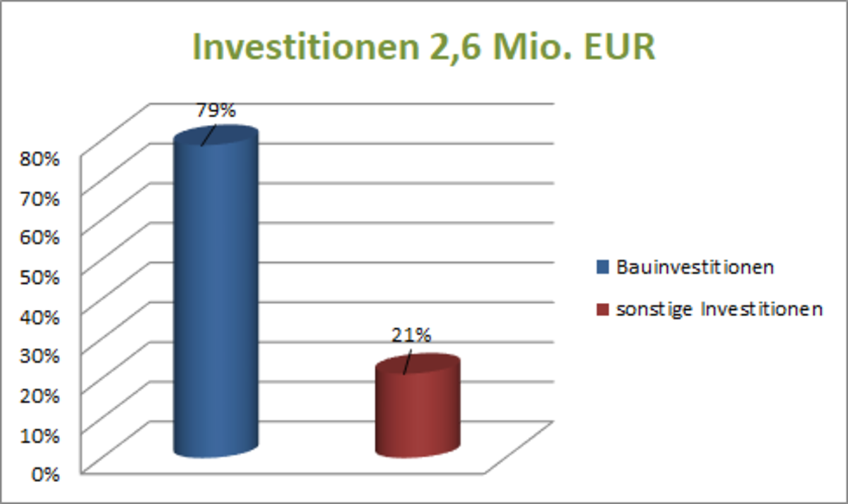 Jahresrechnung_2021_Investitionen
