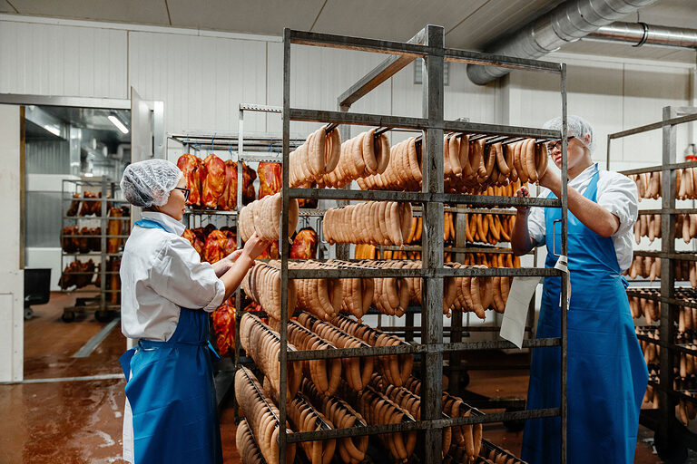 Ausbildung, Ausbildungsplätze 2024, Beruf, Fleischer, Wurstwaren, Azubi, Konservierungsstoffe, Handwerk, Kühlanlage, Fleisch