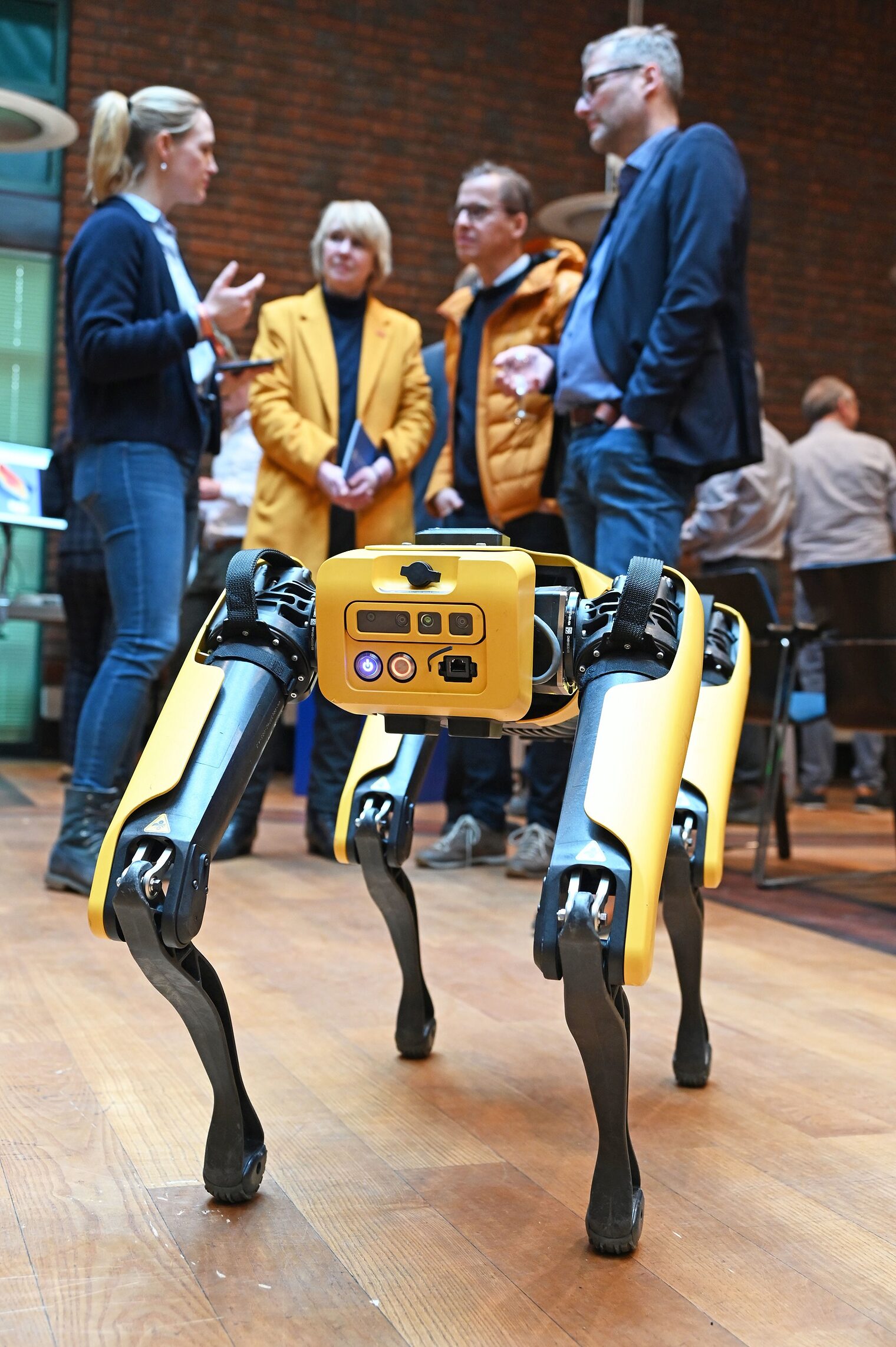 Roboter, Miniroboter, Roboterhund, Handwerksbetrieb, Digitalisierung, Technologie, Handwerk in Berlin, Innovation, Wirtschaft