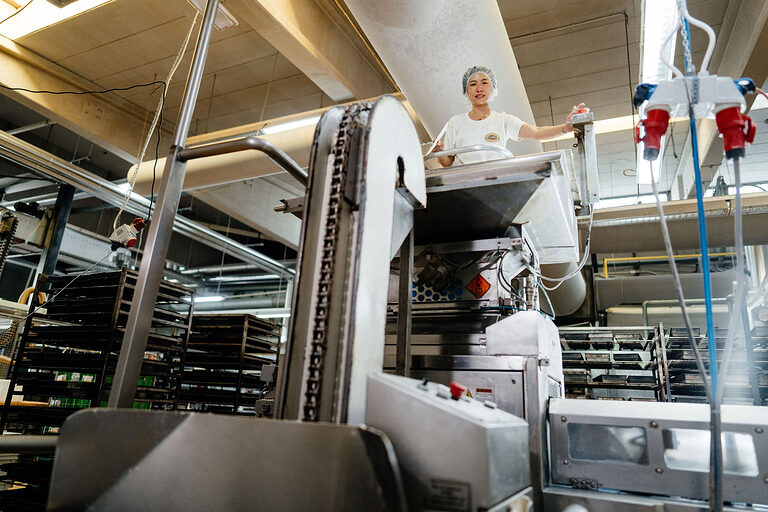 Ausbildung, Ausbildungsplätze 2024, Bäckerei, Bäcker, Brot, Lehrstellenbörse, Beruf, Auszubildende, Handwerkskammer, Teig