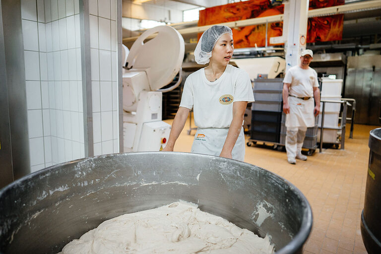 Ausbildung, Ausbildungsplätze 2024, Bäckerei, Bäcker, Brot, Lehrstellenbörse, Beruf, Auszubildende, Handwerkskammer, Teig