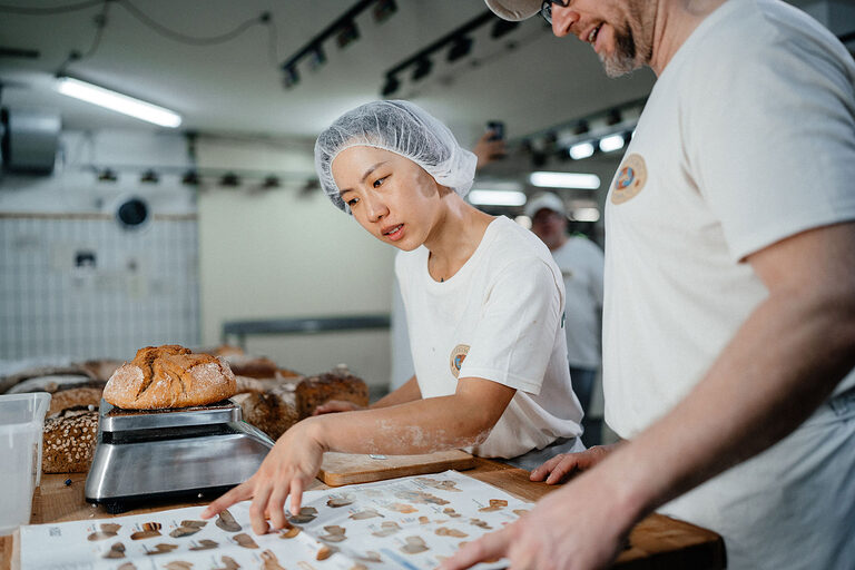 Ausbildung, Ausbildungsplätze 2024, Bäckerei, Bäcker, Brot, Lehrstellenbörse, Beruf, Auszubildende, Handwerkskammer, Teig