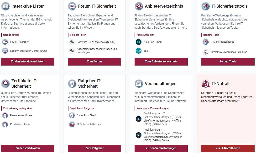 Die Grafik zeigt die 8 Angebotskategorien auf dem Marktplatz IT-Sicherheit