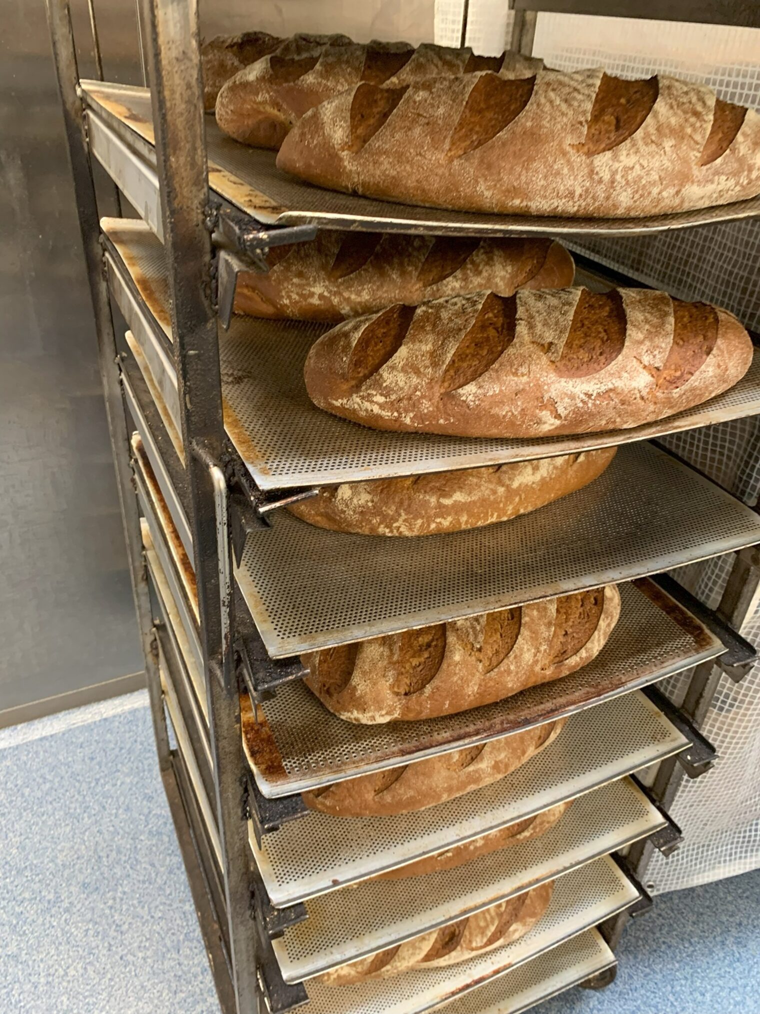 Traditionsreiches Handwerk und moderne Technik in der Bäcker Walf GmbH