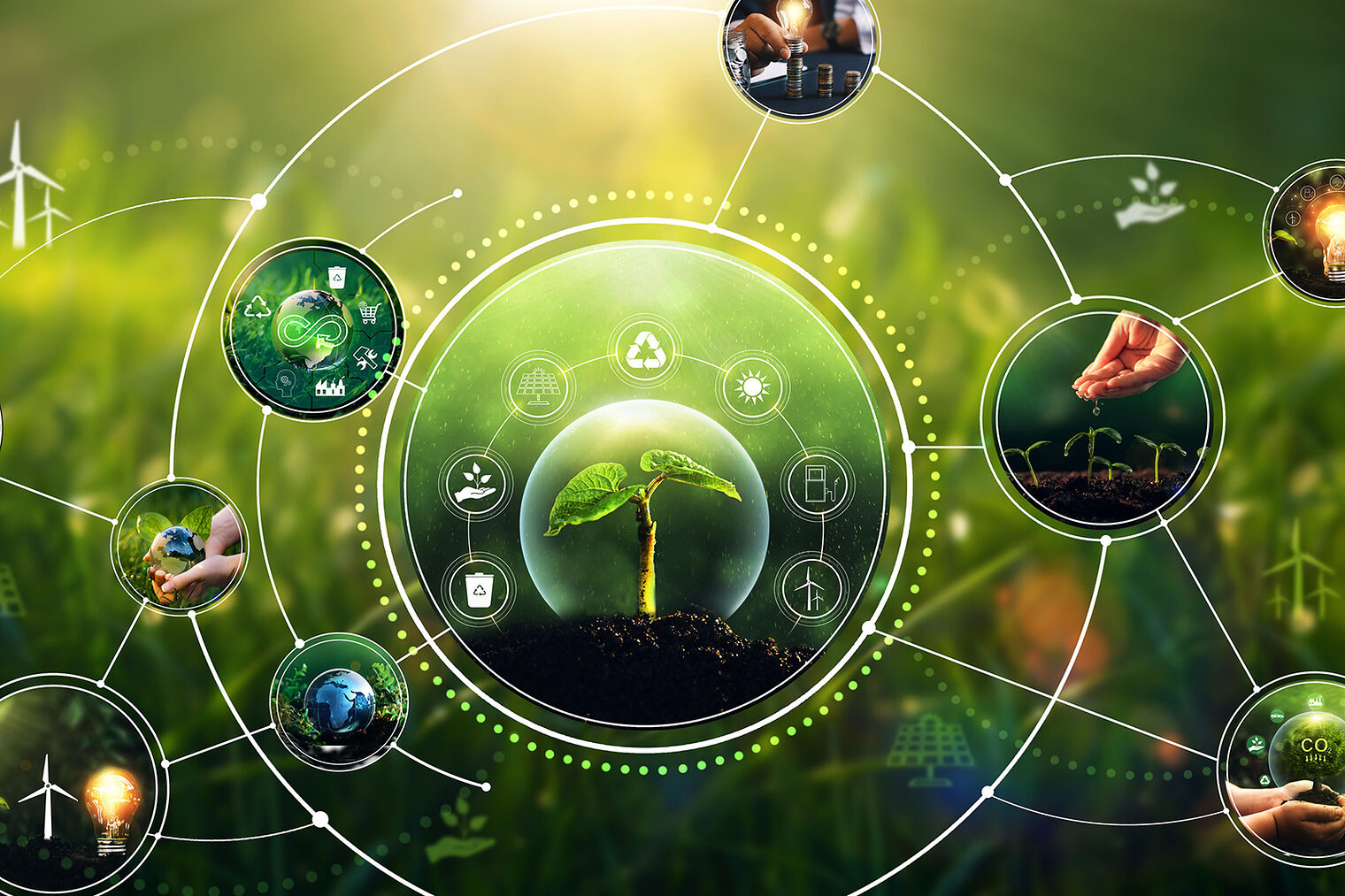 Umwelt, Schutz des Planeten, Ökologiekonzept. Nachhaltige Entwicklung