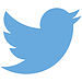 Icon Twitter-Logo